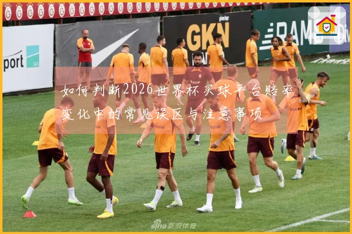 如何判断2026世界杯买球平台赔率变化中的常见误区与注意事项