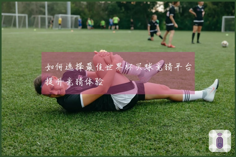 如何选择最佳世界杯买球竞猜平台提升竞猜体验