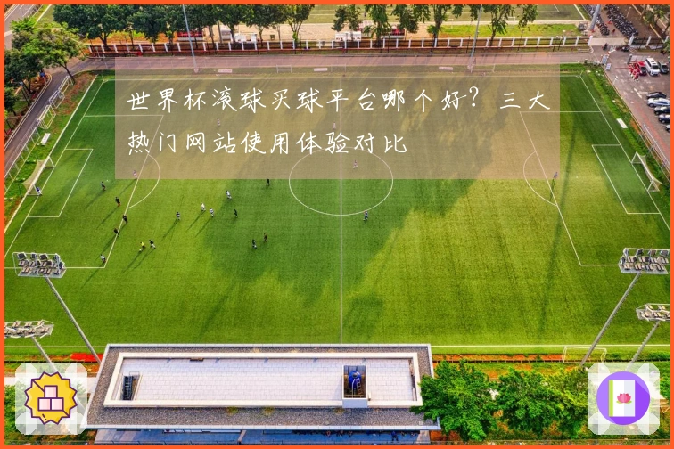 世界杯滚球买球平台哪个好?三大热门网站使用体验对比