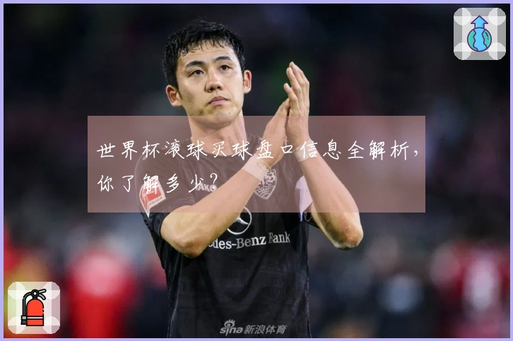 世界杯滚球买球盘口信息全解析，你了解多少？