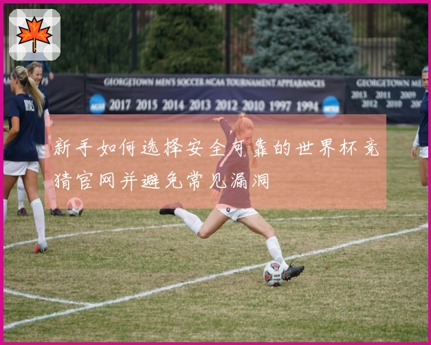新手如何选择安全可靠的世界杯竞猜官网并避免常见漏洞
