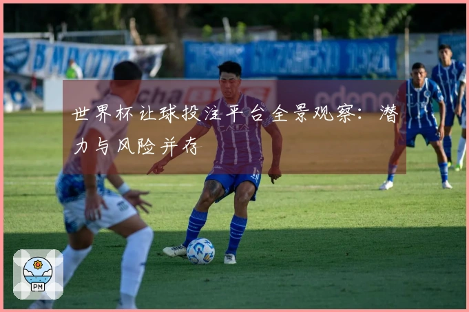 世界杯让球投注平台全景观察:潜力与风险并存