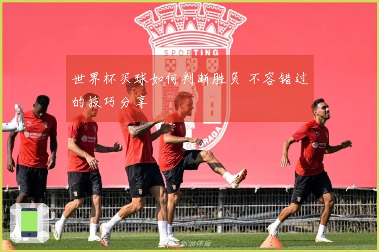 世界杯买球如何判断胜负 不容错过的技巧分享