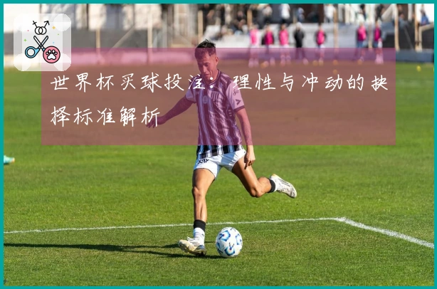 世界杯买球投注：理性与冲动的抉择标准解析