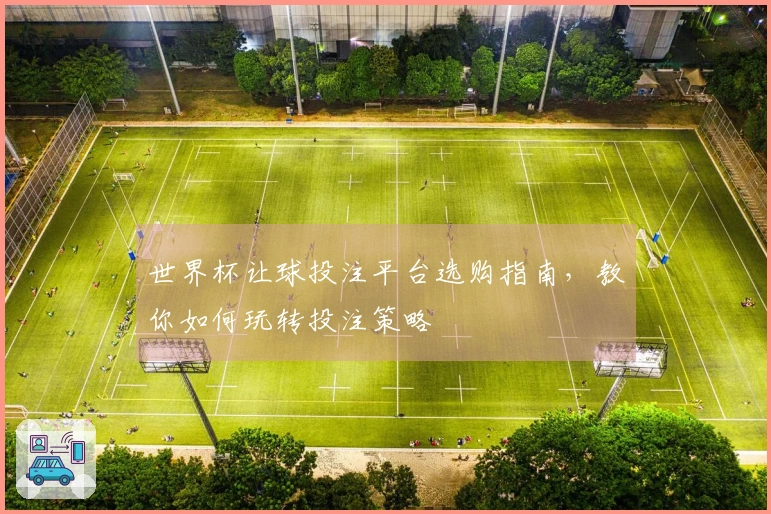 世界杯让球投注平台选购指南，教你如何玩转投注策略