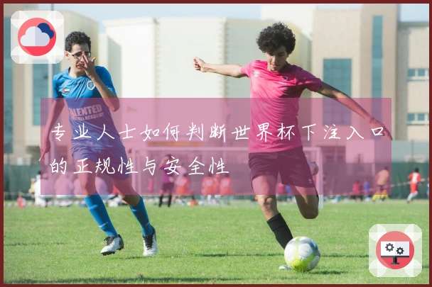 专业人士如何判断世界杯下注入口的正规性与安全性