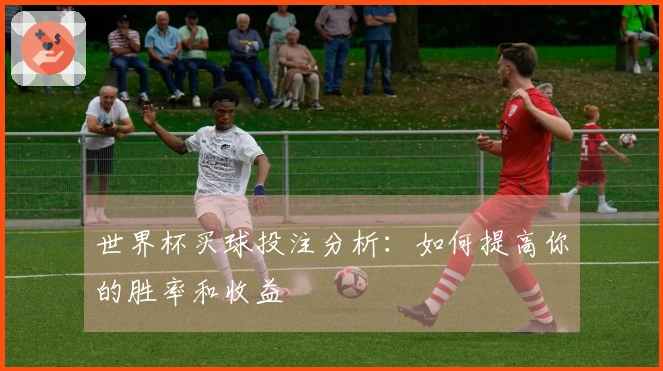 世界杯买球投注分析：如何提高你的胜率和收益