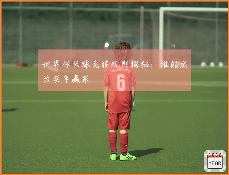 世界杯买球竞猜规则揭秘，谁能成为明年赢家