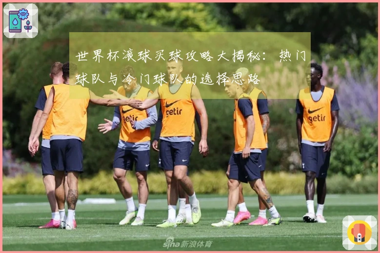 世界杯滚球买球攻略大揭秘：热门球队与冷门球队的选择思路