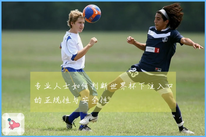 专业人士如何判断世界杯下注入口的正规性与安全性